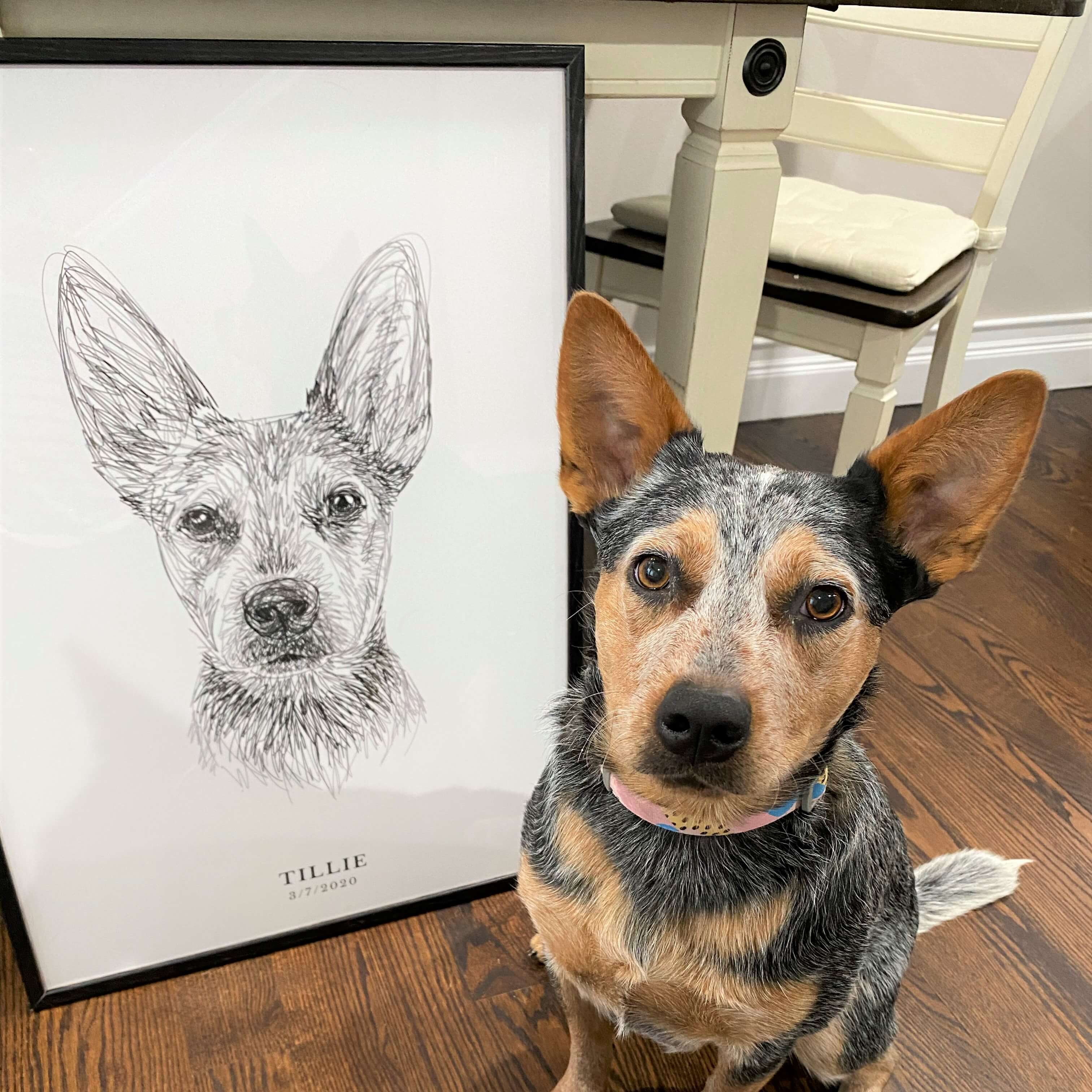 Pet Portrait