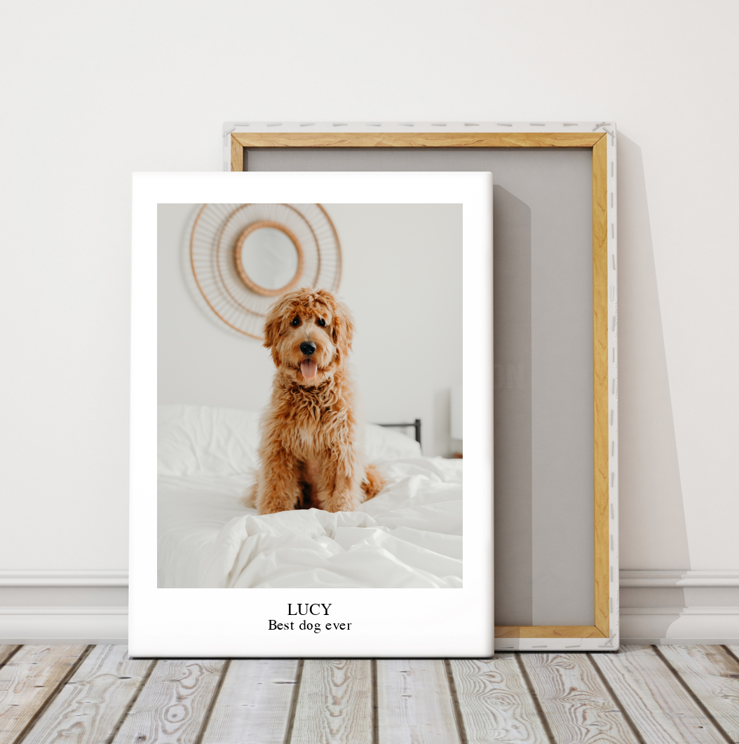 Pet Photo Art