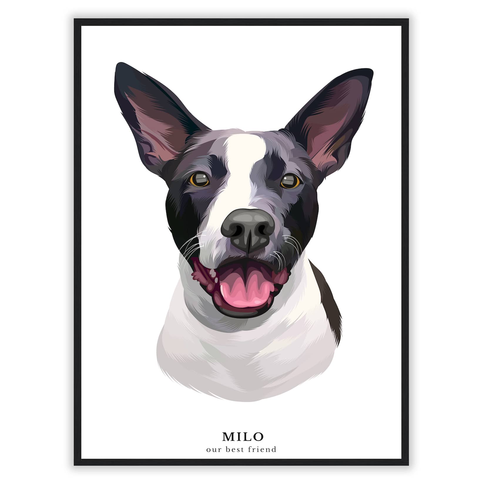 Pet Portrait